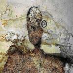 OM - CD Audio di Negura Bunget