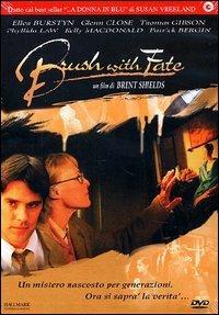 Brush With Fate di Brent Shields - DVD
