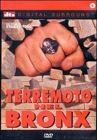 Terremoto nel Bronx di Stanley Tong - DVD