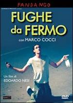 Fughe da fermo