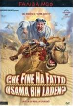 Che fine ha fatto Osama Bin Laden?