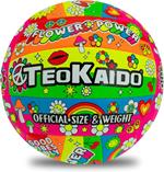 Pallone Cuoio Volley Hippie