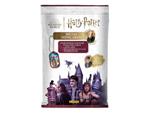 Harry Potter Metal Minicards Starter Pack *German Version* Panini