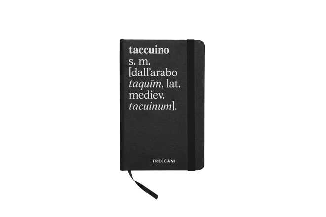 Cartoleria Taccuino Nero, Bianco a Righe Piccolo Treccani Definizione