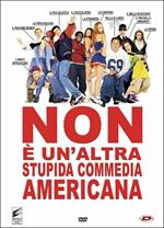 Non è un'altra stupida commedia americana