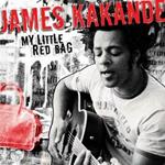 My Little Red Bag