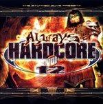 Always Hardcore vol.12 - CD Audio