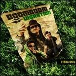Vibra unica - CD Audio di Boom Boom Vibration