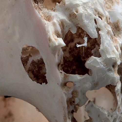 Il corpo nel sogno - CD Audio di Oteme