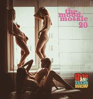The Mood Mosaic 20