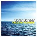 Yellow Flower