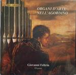 Organi D'Arte Nell'Agordino
