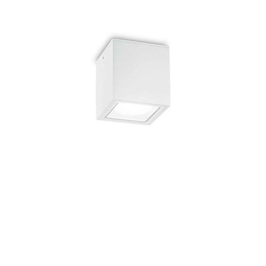 Ideal Lux Techo PL1 Small Lampada Cubo da Soffitto Plafoniera per Esterno - Bianco