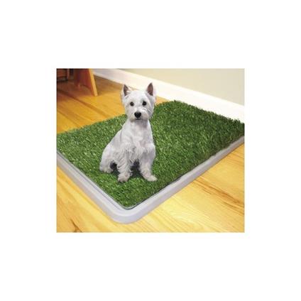 Dog Toilette Cani Potty Patch Lettiera Wc Lavabile 3 Strati Bisogni Animali 43 X 68 Cm