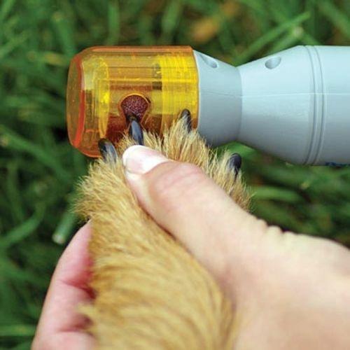 Pet Pedicure Lima Elettrica Cordless Per Unghie Pulizia Cane E Gatto Unghia - 2