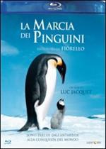 La marcia dei pinguini