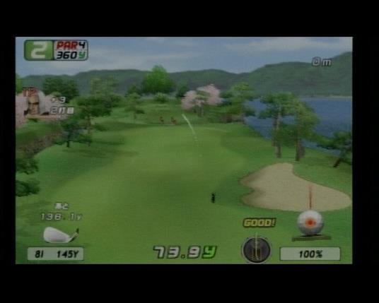 Eagle Eye Golf - 6