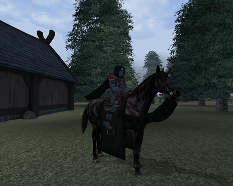 Dark Age of Camelot: Darkness Rising - 9