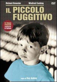 Il piccolo fuggitivo di Ray Ashley,Morris Engel,Ruth Orkin - DVD