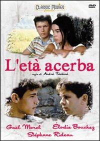 L' età acerba di André Techinè - DVD