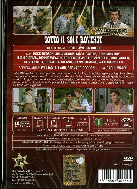 Sotto il Sole rovente. Il diario di un condannato di Raoul Walsh - DVD - 2