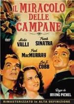 Il miracolo delle campane (DVD)