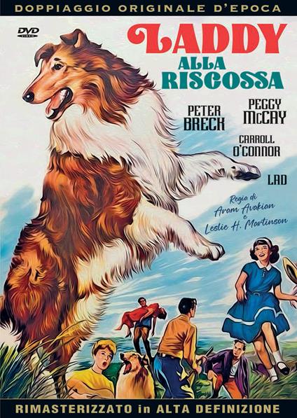 Laddy alla riscossa (DVD) di Aram Avakian,Leslie H. Martison - DVD