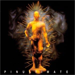 Pinultimate - CD Audio di Shock