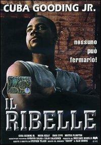 Il ribelle di Stephen Tolkin - DVD