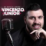 Mi Manchi Amore - CD Audio di Vincenzo Jr.