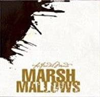 La fine del mondo - CD Audio di Marsh Mallows