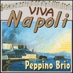 Viva Napoli - CD Audio di Peppino Brio