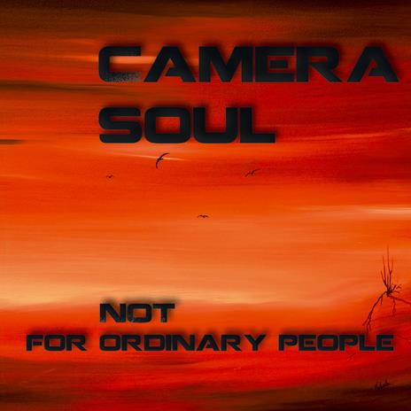Not for Ordinary People - CD Audio di Camera Soul