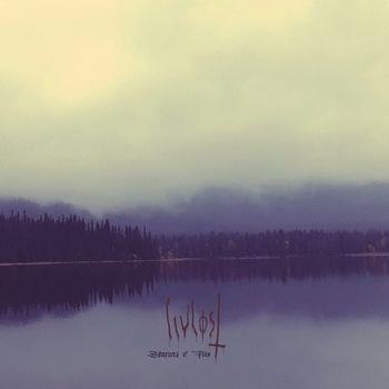 Symphony of Flies - Vinile LP di Livlost