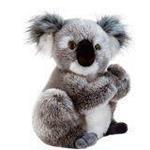 Koala Koline 22Cm 05932