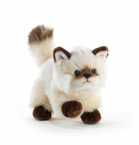 Plush Gatto Thai Siamese 21 Cm - 9