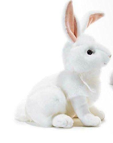 Coniglio Lapo Medio 15732