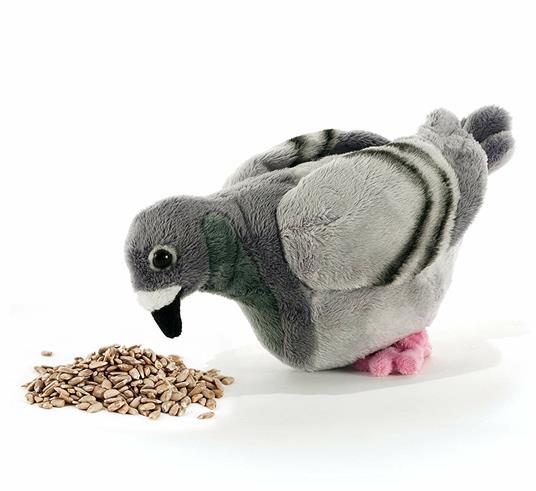 Piccione Cm23 15826 - 3