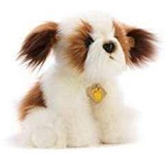 Cane Shih Tzu 15923 - 7