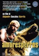 Amores perros (DVD)
