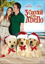 3 cuccioli e un anello (DVD)