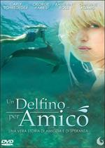 Un delfino per amico