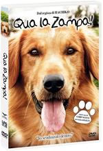 Qua la zampa! (DVD)