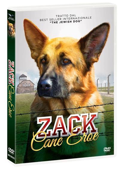 Zack cane eroe (DVD) di Lynn Roth - DVD