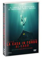 La casa in fondo al lago (DVD)