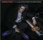 Jellyfish from Bosphorus - CD Audio di Andrea Pozza