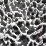 I Like Too Much - CD Audio di Gaetano Partipilo,Miles Okazaki,Dan Weiss