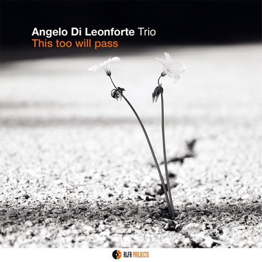 This Too Will Pass - CD Audio di Angelo Di Leonforte