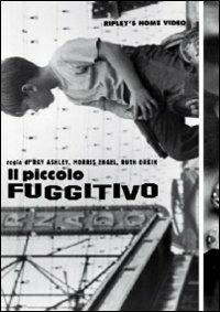 Il piccolo fuggitivo (2 DVD) di Ray Ashley,Morris Engel,Ruth Orkin - DVD