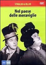 Nel paese delle meraviglie (DVD)